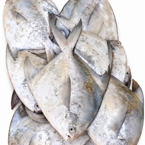 Pomfret