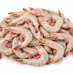 Shrimp